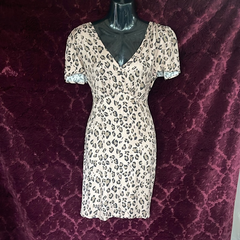Velvet dress by graham and Spencer